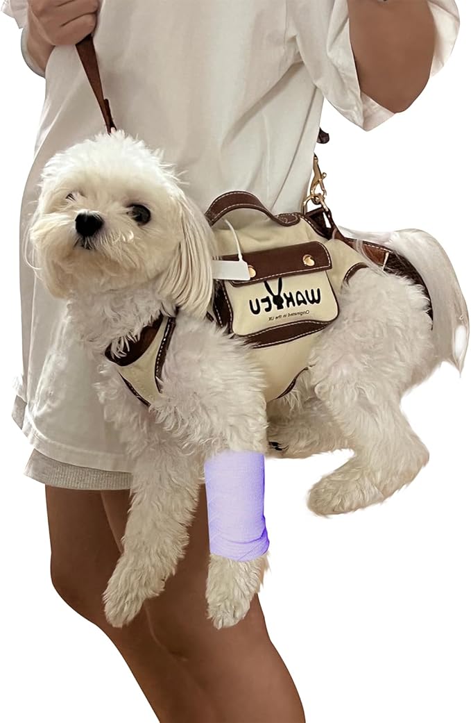 Dog Lift Harness Dog Carrier VES Harness Adjustable Leash with Small Puppy Treat Bag,Fits Most Cars,XS-Mewly Pet