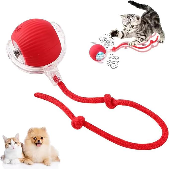 Interactive Cat Toys Ball, Newly Upgraded Automatic with Elastic Tail Rope and USB Charging. Stimulates Hunting Instincts and Promotes Exercise. Interactive Cat Toys for Bored Indoor Adult Cats-Mewly Pet