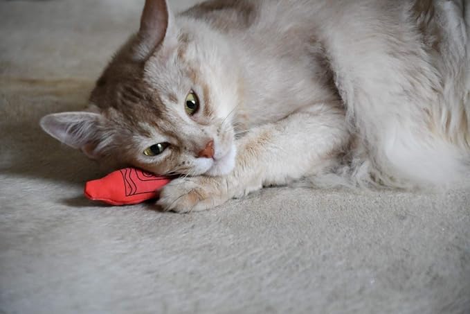 YEOWWW! Catnip Crayon, 3 Count-Mewly Pet