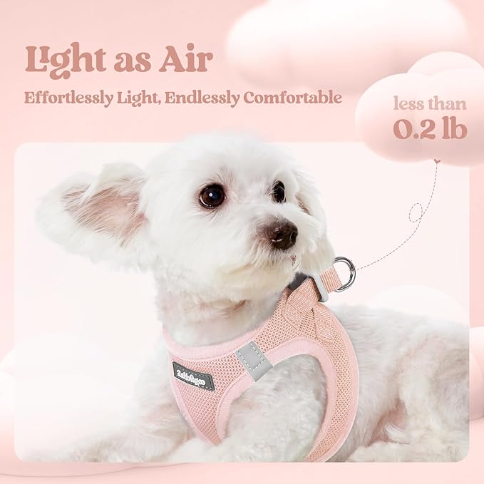 rabbitgoo Dog Harness Small Sized and Leash Set, Step in Soft Light Puppy Vest, Breathable Mesh Pet Harness, Reflective for Safe Outdoor Walking, Pink M-Mewly Pet
