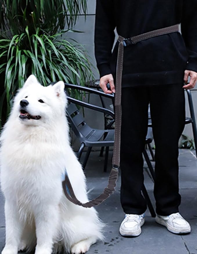 Hands Free Dog Leash for Large Medium Dogs Heavy Duty Bungee Reflective Adjustable Waist Leashes for Walking Running with Car Buckle 4-6FT (Black)-Mewly Pet