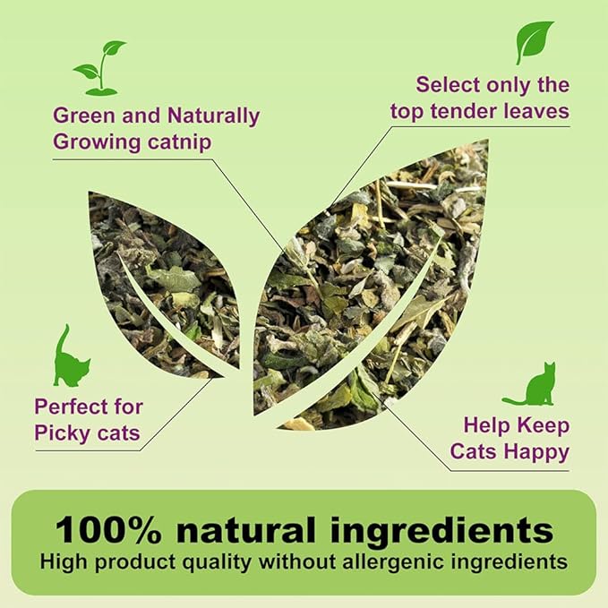 210ML Organic 100% Natural Catnip Cattle Grass Mint Taste Funny Cat Toy New Cat Toy Interactive Cat Toys Pet Supplies-Mewly Pet