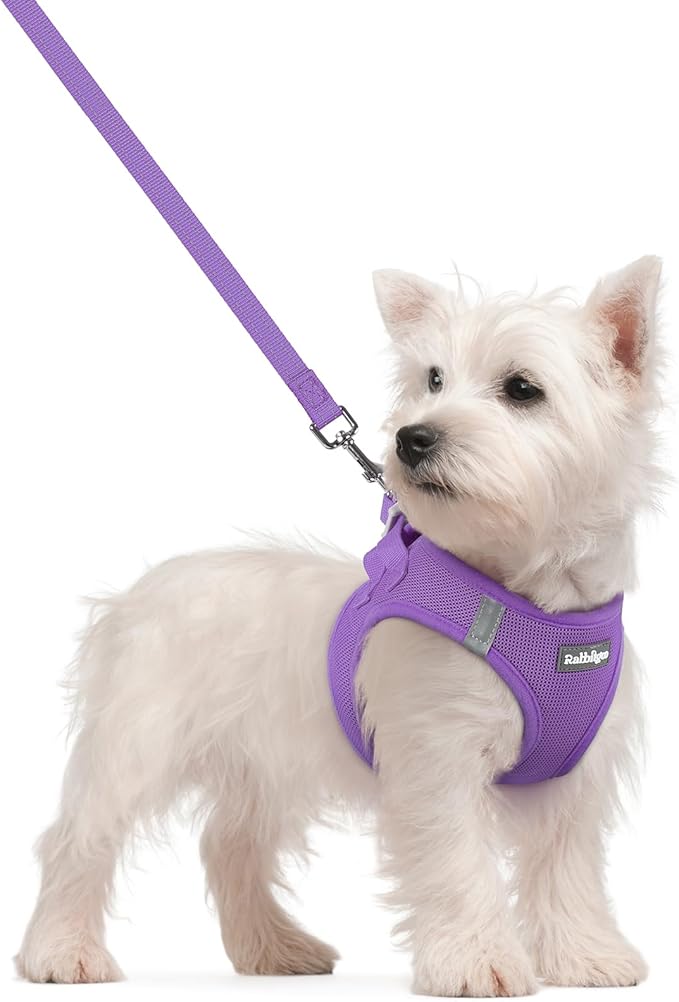 rabbitgoo Dog Harness Small Sized and Leash Set, Step in Soft Light Puppy Vest, Breathable Mesh Pet Harness, Reflective for Safe Outdoor Walking, Purple S-Mewly Pet