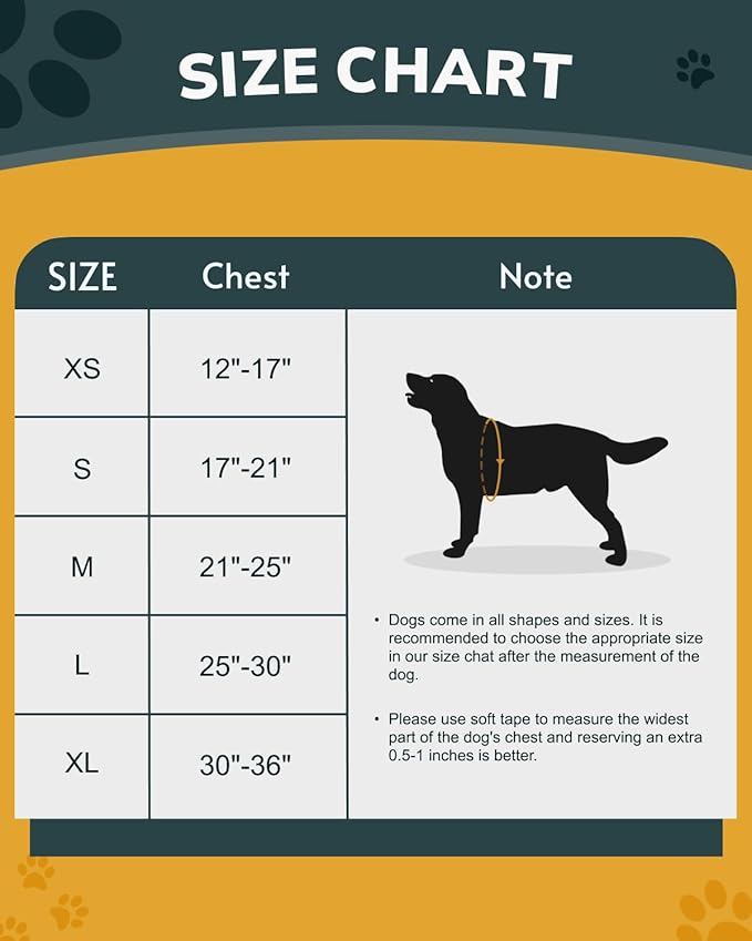 MIDOG No-Pull Dog Harness | Adjustable & Reflective Pet Harness Leash Set for Small Medium Large Dogs Walking, Training| No Choke, Front Clip, Soft Padded Vest with Easy Control Handle - Blue, S-Mewly Pet