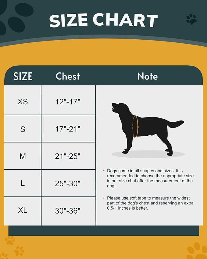 MIDOG No-Pull Dog Harness | Adjustable & Reflective Pet Harness Leash Set for Small Medium Large Dogs Walking, Training| No Choke, Front Clip, Soft Padded Vest with Easy Control Handle - Blue, M-Mewly Pet