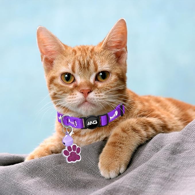 Personalized Breakaway Cat Collars Glow-in-The-Dark with ID Tag, Bell - Safety Quick - Release, Customizable for Female Male Kittens & Cats (Purple)-Mewly Pet