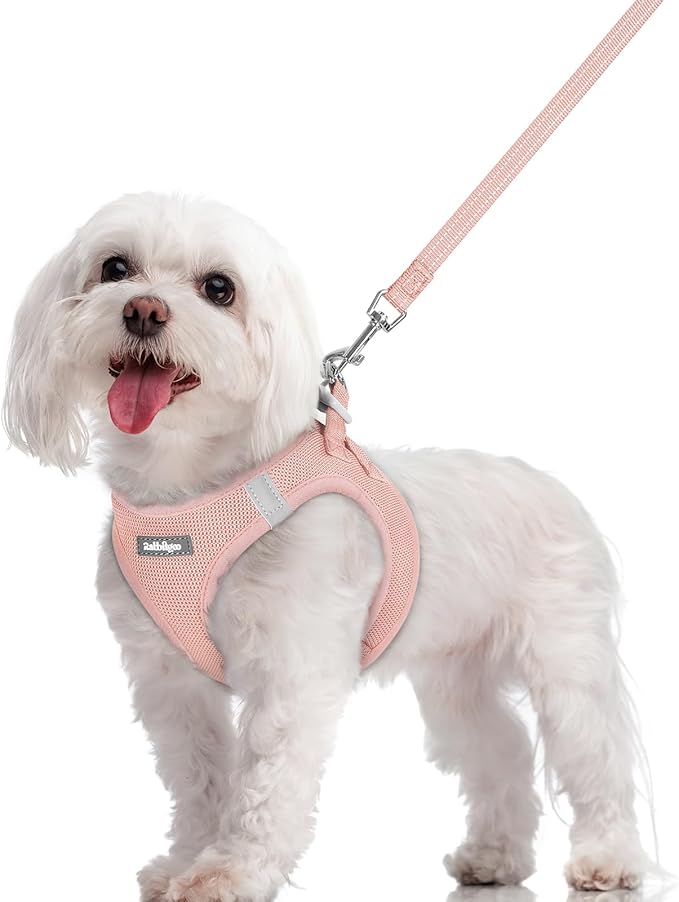 rabbitgoo Dog Harness Small Sized and Leash Set, Step in Soft Light Puppy Vest, Breathable Mesh Pet Harness, Reflective for Safe Outdoor Walking, Pink M-Mewly Pet