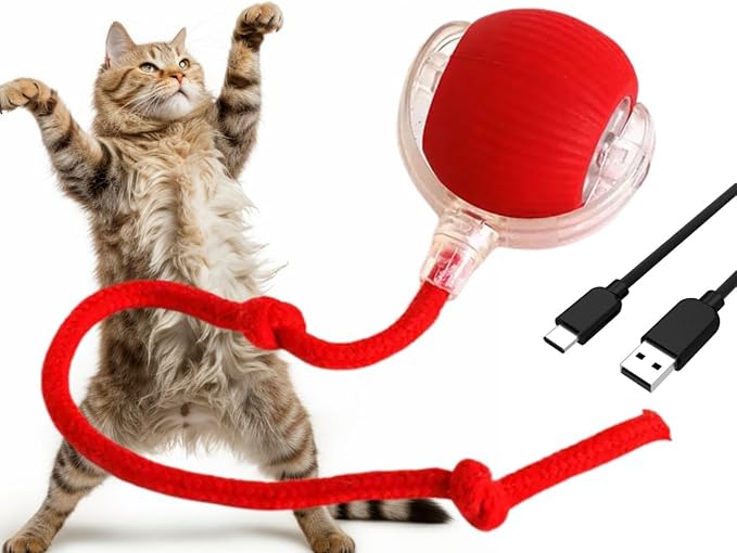 Interactive Pet Chase Toy - Rechargeable, Motion Ball, Self-Moving Kitten Toy for Indoor Interactive Playing, Smart Cat Rolling Ball-Mewly Pet