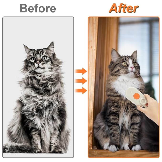 New Cat Grooming Brush With Steam - Rechargeable, Anti-Static, Massage, Cleaning, Shedding & Combing All In One-Mewly Pet