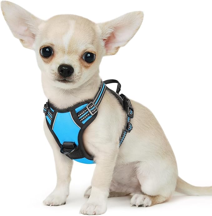 Eagloo Small Dog Harness No Pull, Service Vest with Reflective Strips and Control Handle, Adjustable and Comfortable for Walking, No Choke Pet Harness with 2 Metal Rings, Sky Blue, XS-Mewly Pet