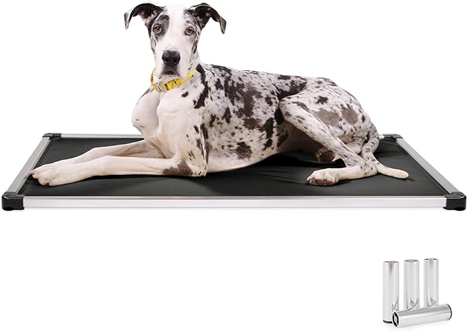 K9 Ballistics Chew Proof Armored Padded Dog Crate Bed, Virtually Indestructible, Legs Included (Obsidian Black, Small (29" L x 18" W x 4.5" H))-Mewly Pet