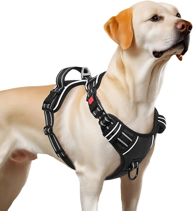 Timos Dog Harness,NO Need Go Over Dogs Head 3 Snap Buckles Pet Harness with 2 Leash Clips,Adjustable Soft Padded No-Pull,Reflective No-Choke Oxford Vest for Small Medium Large Dogs,X-Large(Packof1)-Mewly Pet