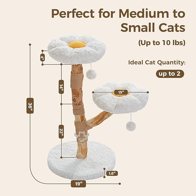 Wood Flower Cat Tree, Modern Cat Tower with Real Wood Branches, Luxury Boho Furniture with Scratching Post and 2 Perches, Cat Climbing Tower for Indoor Cats, Cloud White-Mewly Pet