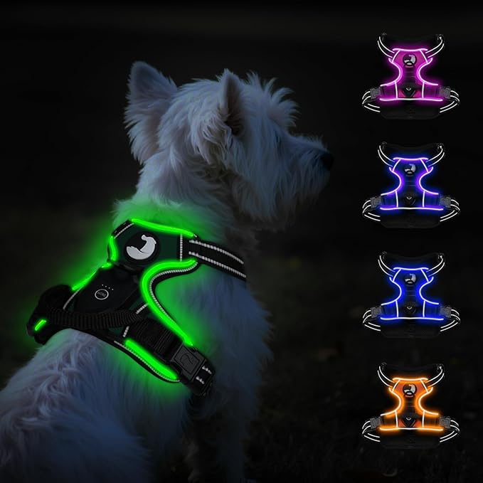 Taglory Light Up Dog Harness, Rechargeable No Pull Dog Vest with 3 Lightning Modes, Reflective Dog Harness with 2 Leash Clips & 4 Adjustable Slide Strips for Small Dogs, Turquoise-Green, S-Mewly Pet