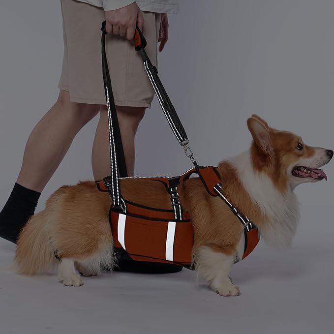 COODEO Mobility Dog Lift Harness, Emergency Carry Sling, Pet Rear Leg Support Rehabilitation Lifts Vest, Dog Carrier for Senior Dogs Joint Injuries, Arthritis (Orange, L)-Mewly Pet