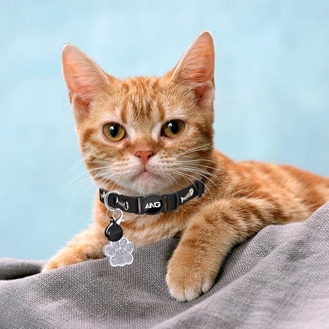 Personalized Breakaway Cat Collars Glow-in-The-Dark with ID Tag, Bell - Safety Quick - Release, Customizable for Female Male Kittens & Cats (Black)-Mewly Pet