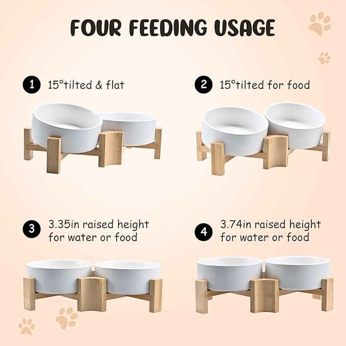 SPUNKYJUNKY 15° Slanted Ceramic Dog and Cat Bowl with Wooden Stand, Tilted Bulldog Food and Water Bowl No Slip Non-Spill for Cats Medium Dogs Big Face Pets 13.5 OZ (1.7 Cups, White × 2)-Mewly Pet