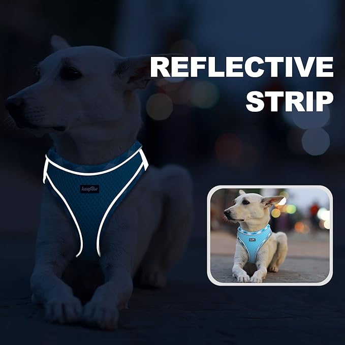 haapaw Dog Harness with Leash Set, No Pull Adjustable Reflective Step-in Puppy Harness with Thickened Padded Vest for Extra-Small/Small Medium Dogs-Mewly Pet