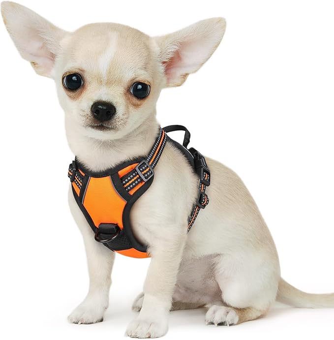 Eagloo Small Dog Harness No Pull, Service Vest with Reflective Strips and Control Handle, Adjustable and Comfortable for Easy Walking, No Choke Pet Harness with 2 Metal Rings, Orange, XS-Mewly Pet