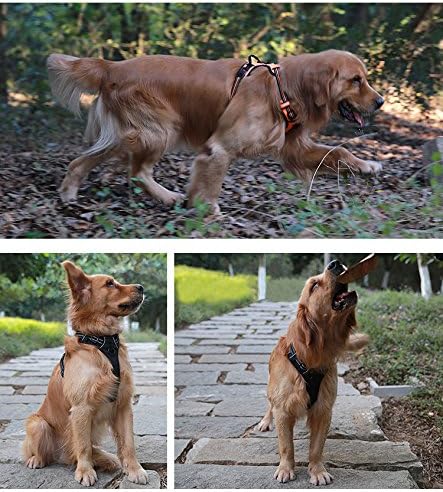 Truelove No Pull Dog Harness with Easy Control Handle and 2 Leash Attachments,Reflective Adjustable Pet Vest-Mewly Pet