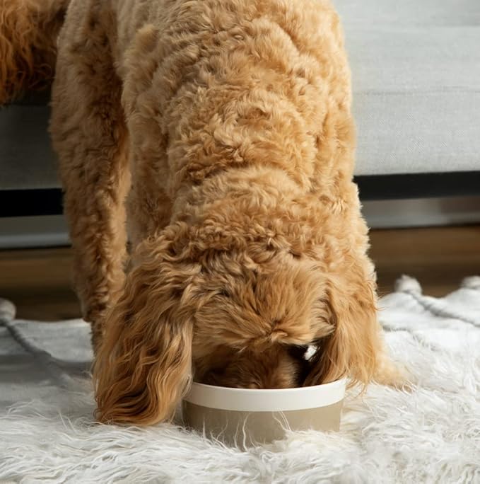 Waggo Dipper Ceramic Dog Bowl Heavyweight Durable Dog Food and Water Dish (Large, Teracotta)-Mewly Pet