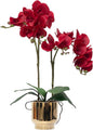 CXGS Orchids Artificial Flowers Real Touch Fake Flowers in Ceramic Pot 20" Red Faux Orchid Plant Lifelike Silk Phalaenopsis for Centerpiece Hotel Home Indoor Decor