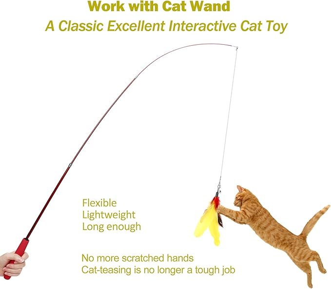 11PCS Cat Feather Toys Refills, 10PCS Feathers and 1PC String, Interactive Cat Wand Toy Replacement for Bored Indoor Adult Cats & Kittens-Mewly Pet