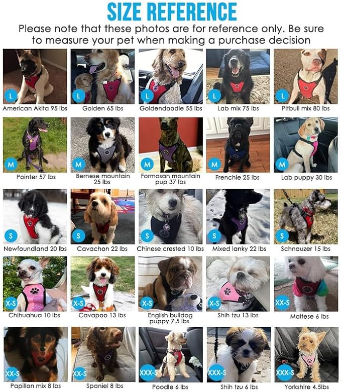 SlowTon Dog Seat Belt Harness for Car, Dog Car Harness Adjustable Mesh Breathable & Dog Seatbelt Safety Tether with Elastic Bungee for Small Medium Large Pets(Orange, Double Clip, M)-Mewly Pet