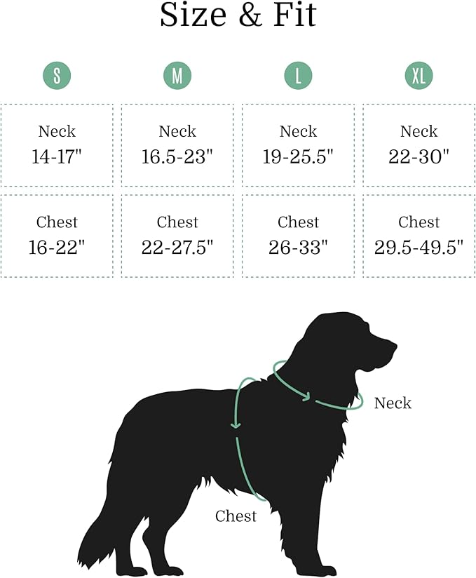 2025 New Edition, Fei & Eve MagEase Dog Harness - 3-Second Magnetic Buckles | 3-Point No-Pull Control | Heavy-Duty 900D Nylon | Dual Safety Handles | Breathable Mesh | Adjustable Fit | Medium, Green-Mewly Pet