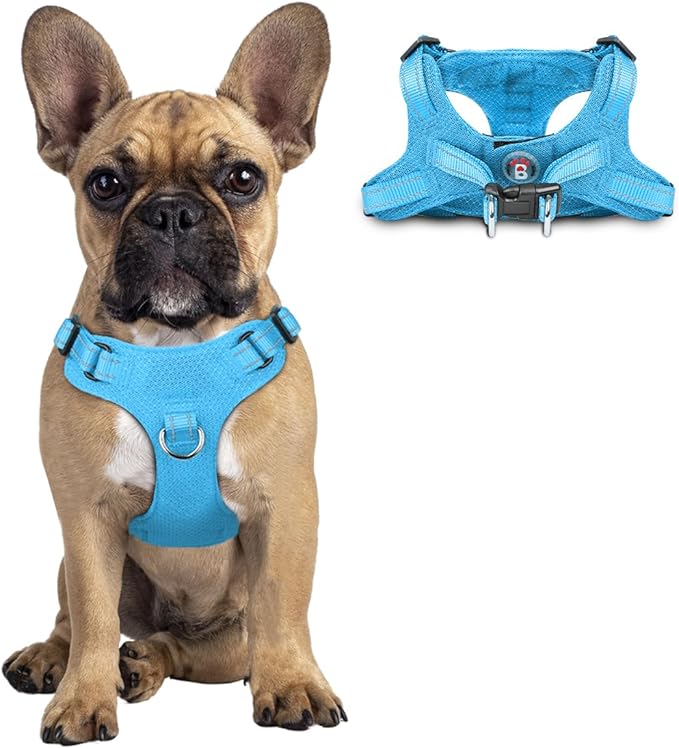 Dog Harness Step in Dog Vest Harness, Reflective Adjustable Puppy No Pull Harness Breathable Soft for Small and Medium Dogs Cats, Blue, S-Mewly Pet