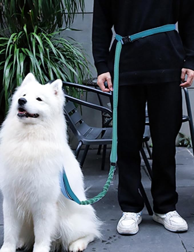 Hands Free Dog Leash for Large Medium Dogs Heavy Duty Bungee Reflective Adjustable Waist Leashes for Walking Running with Car Buckle 4-6FT (Green)-Mewly Pet