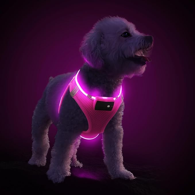 PceoTllar Light Up Dog Harness, LED No Pull Reflective Dog Harness, Flashing Lighted for Night Walking - Small/Medium, (Pink,S)-Mewly Pet