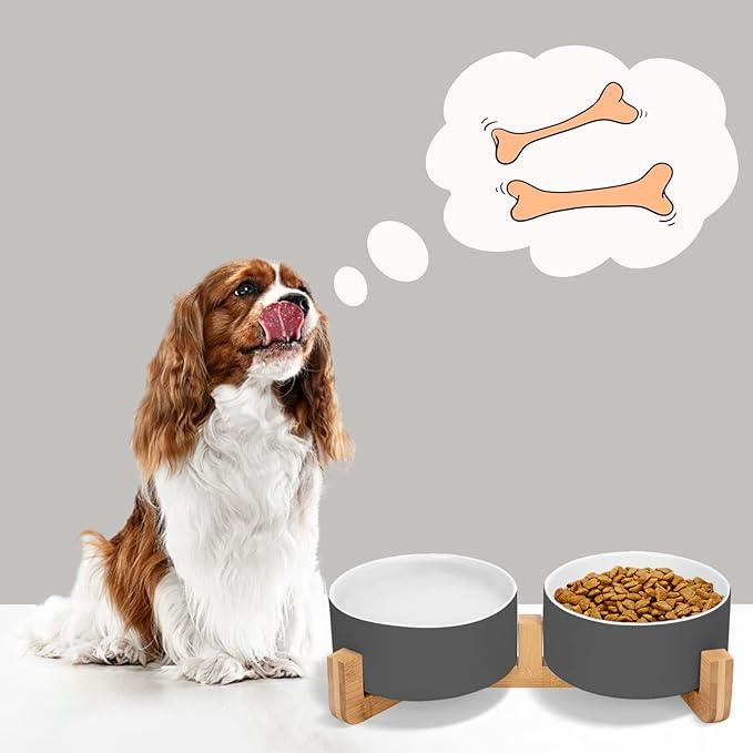 SPUNKYJUNKY Ceramic Dog and Cat Bowl Set with Wooden Stand, Modern Cute Weighted Food Water Set for Small Size Dogs (13.5OZ) & Medium Sized Dogs (28.7OZ) & Cats (3.6 Cups, 2 × White-Grey)-Mewly Pet