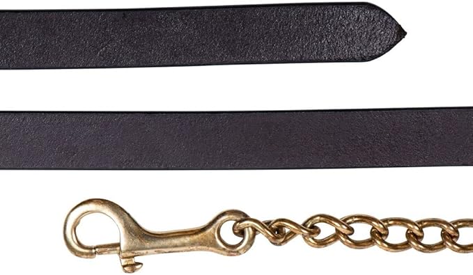 Schneiders Heavy Duty Solid Brass Chain for Horses | Convert Ropes & Lunge Lines into Effective Training Aids | Rust-Resistant, Hand-Welded Design-Mewly Pet