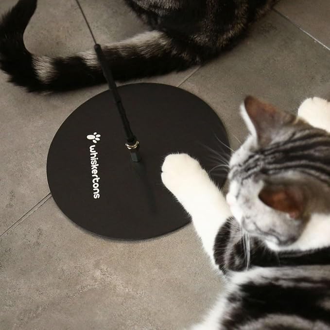 Weighted Base (Interactive Bird Simulation Cat Toy)-Mewly Pet
