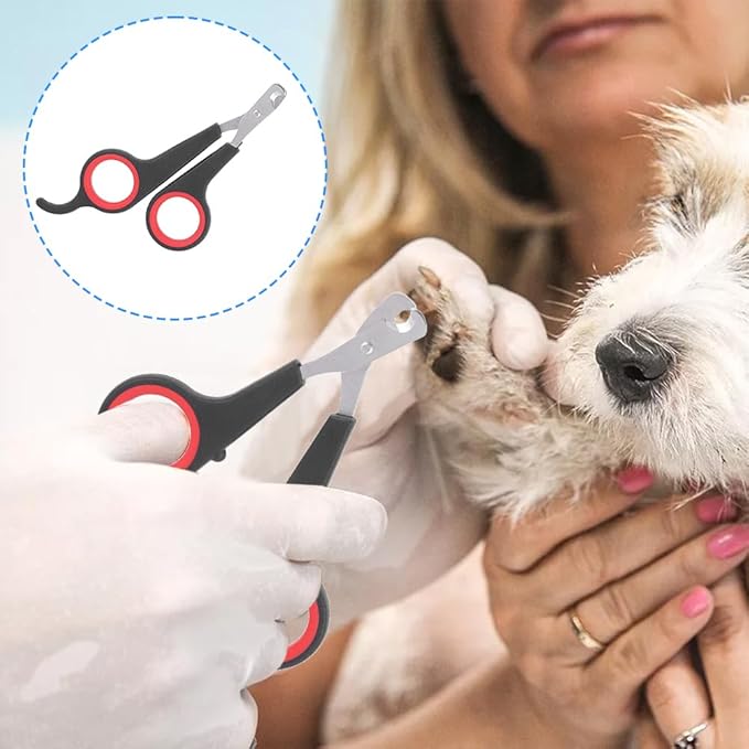 Cat Nail Clipper, Cat Nail Trimmers Cat Claw Clippers Small Dog Nail Clippers Bird Nail Scissors Stainless Steel Parrot Cage Essential Grooming Accessory for Small Animals Ferrets Bunny Rabbit Puppy-Mewly Pet