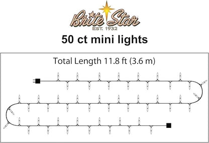 Brite Star 50 Lt String to String Lights, Clear (Set of 2)
