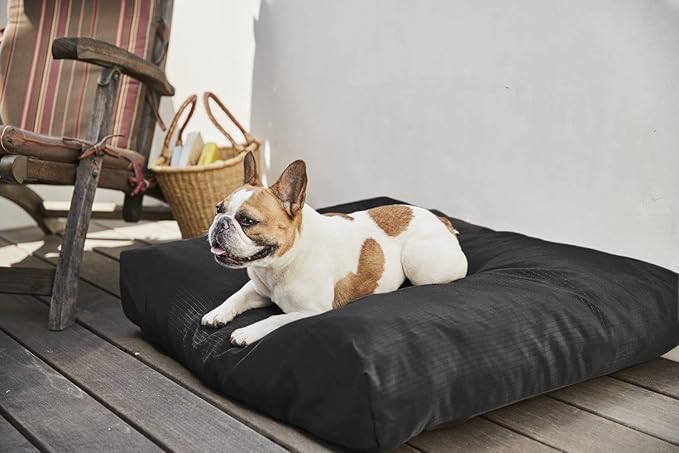 K9 Ballistics Tough Rectangle Pillow S Dog Bed - Removable Cover, Washable, Durable & Water Resistant Dog Bed Made for Small Dogs 24"x18" Sandstone-Mewly Pet