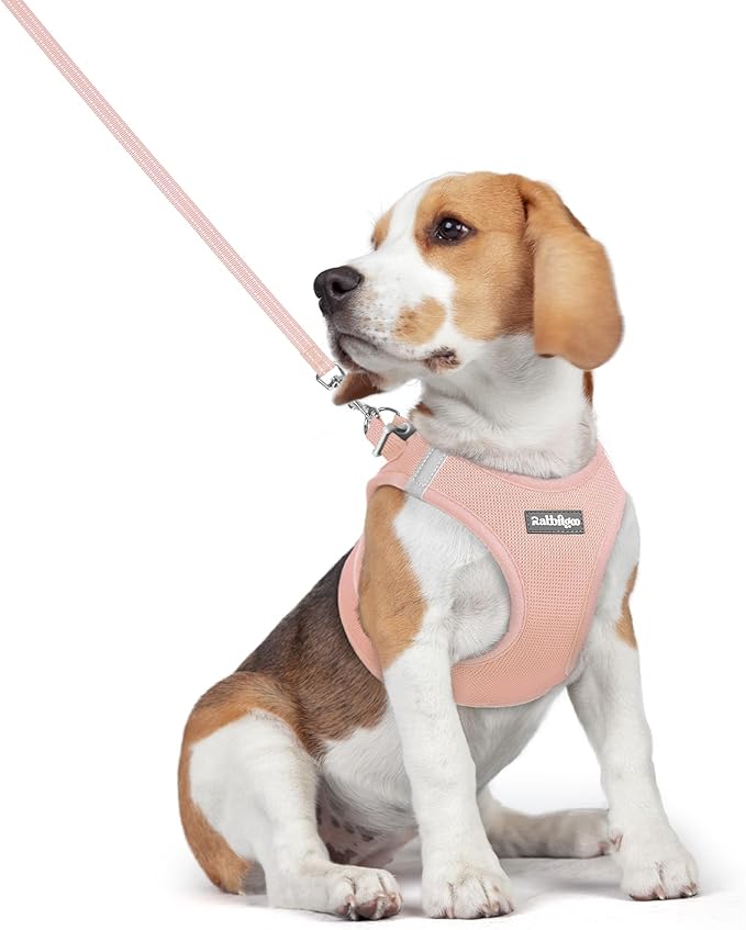 rabbitgoo Dog Harness Small Medium Sized and Leash Set, Step in Soft Light Puppy Vest, Breathable Mesh Pet Harness, Reflective for Safe Outdoor Walking, Pink L-Mewly Pet