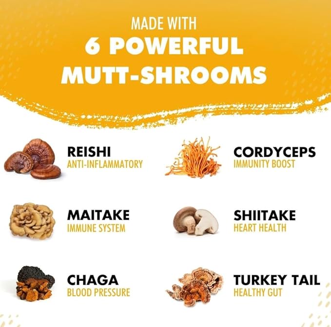 iHeartCats Bone Broth for Cats - Bone Broth & Mushroom Gold Powder Supplement for Immune System Support, Improved Mobility & Flexibility and Natural Detox - Turkey Tail Mushroom for Cats-Mewly Pet