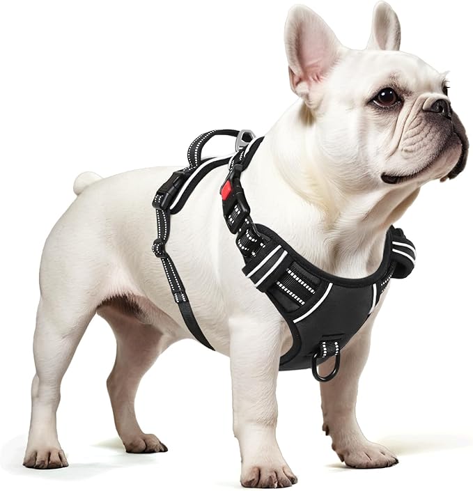 Timos Dog Harness, 3 Snap Buckles No-Pull Soft Padded Dog Vest with 2 Metal Leash Clips, Adjustable Reflective No Choke Pet Harness with Easy Control Handle for Small Dogs,Black,S-Mewly Pet