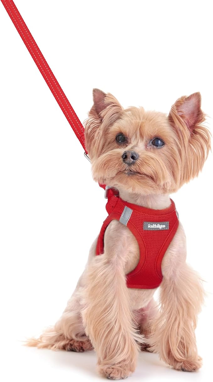 rabbitgoo Dog Harness Small Sized and Leash Set, Step in Soft Light Puppy Vest, Breathable Mesh Pet Harness, Reflective for Safe Easy Walking, Red XXS-Mewly Pet