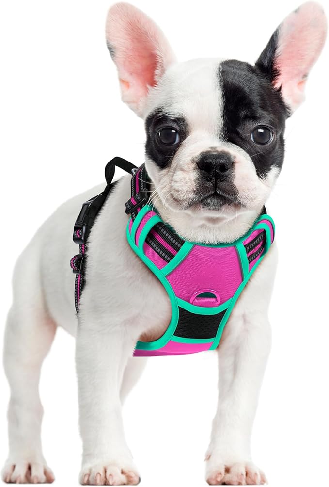 rabbitgoo Dog Harness No Pull with 2 Leash Clips, Adjustable Soft Padded, Reflective Oxford No Choke Pet Vest with Easy Control Handle for Large Dogs, Hot Pink & Turquoise, S-Mewly Pet