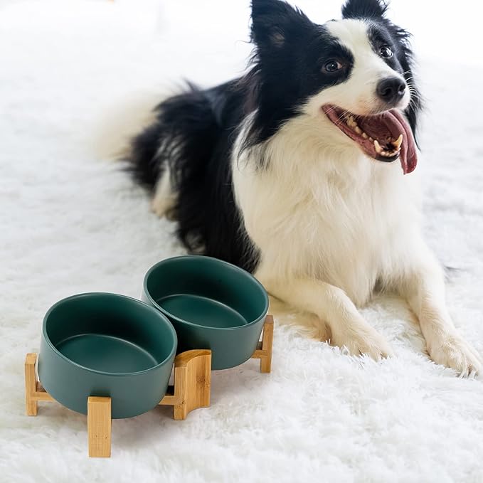 SPUNKYJUNKY 15° Slanted Ceramic Dog and Cat Bowl with Wooden Stand, Tilted Bulldog Food and Water Bowl No Slip Non-Spill for Cats Medium Dogs Big Face Pets 28.7 OZ (3.6 Cups, Green × 2)-Mewly Pet