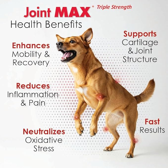 PHS Joint MAX Triple Strength (TS) Soft Chews for Dogs - Glucosamine, Chondroitin, MSM, Turmeric, Omega 3 - Hip and Joint Pain Relief and Support for Dogs - Made in USA - 30 Soft Chews-Mewly Pet