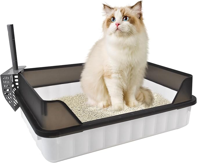 Large Cat Litter Box with High Sides,Semi Enclosed Cats Litter Box,Anti-Splashing Detachable Cat Litter Pan,Kitten Toilet with Litter Sifting Scoop for Big Middle Small Cats,Easy to Clean No Odor-Mewly Pet