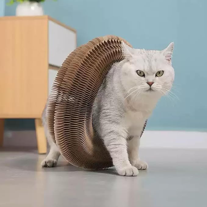 Interactive Scratching Board for Playful Kitties Magic Accordion Cat Scratching Post, Fun Cat Toys for Indoor Cats 1Pack-Mewly Pet