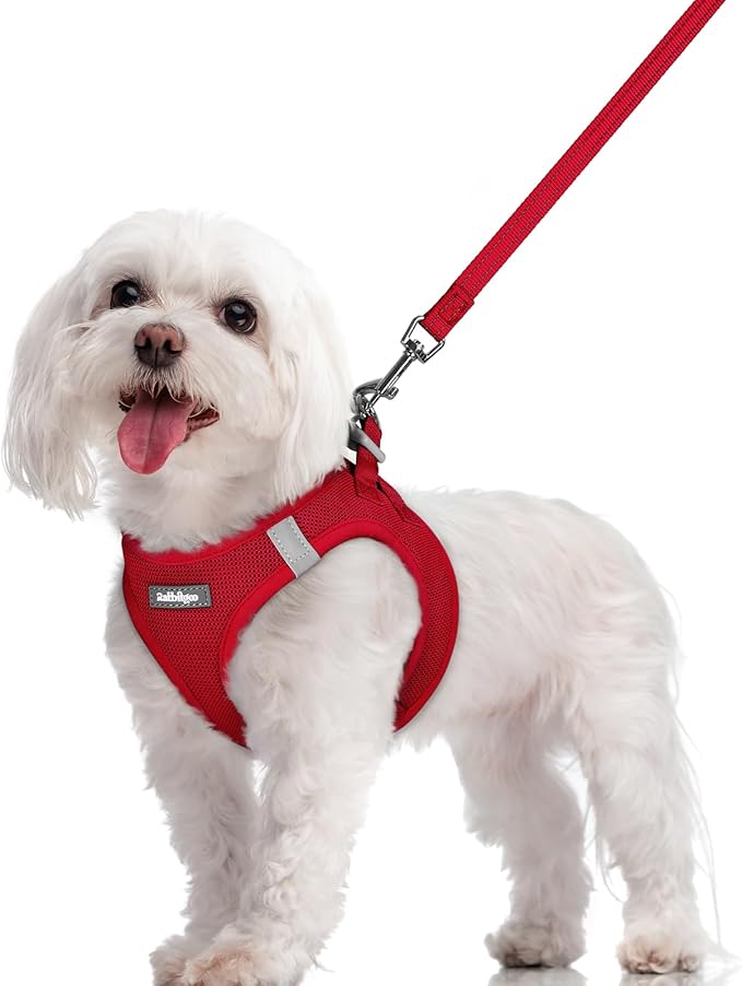rabbitgoo Dog Harness Small Sized and Leash Set, Step in Soft Light Puppy Vest, Breathable Mesh Pet Harness, Reflective for Safe Easy Walking, Red M-Mewly Pet