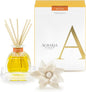 AGRARIA PetiteEssence Flower and Reed Diffuser Set, Hand Crafted Sola Flower Botanical Home Fragrance Set, Scented Oil Gift for All Occasions