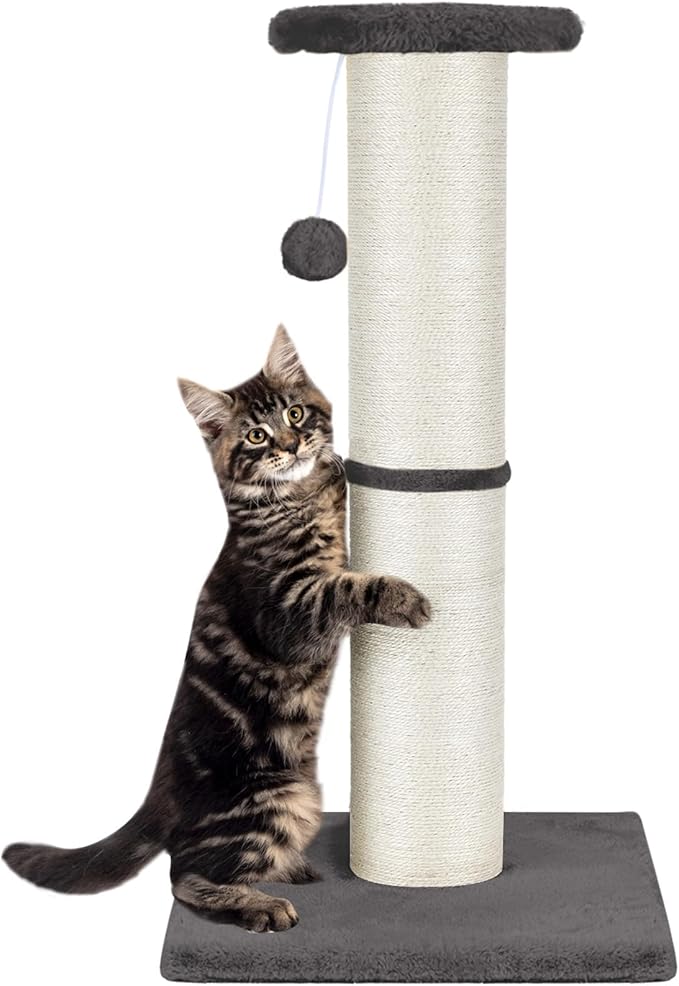 PAWSCRAT Cat Scratching Post 32" Tall, Large Diameter Natural Sisal Cat Scratch Post with Dangling Ball, Scratch-Resistant and Durable Tall Cat Scratcher for Indoor Cats, Protect Your Furniture, Grey-Mewly Pet
